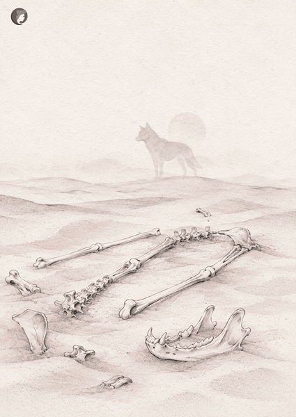 La Loba recogiendo los huesos en el desierto, primer cuento del libro de Pinkola Estés